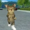 TikTok Gato Donato bailando 🎶😺 13