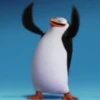 Préndelo pingüino 🐧🔥🐧 8