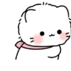 Perrito Blanco Pomerania 🐶🐾 8