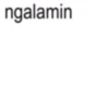ngalamin