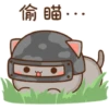 Dudu bubu 26