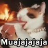 3653 Muajajajaja