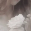 Gif lucu kocak 8