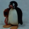 Pingu 10
