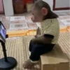 Más monitos  9