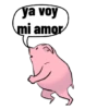 ya voy mi amor