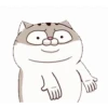 Meme kucing gerak lucu 9