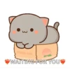 Mochi Cats 13