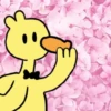 Pájaro Amarillo Ama