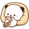 Panda Gemoy Lucu 21 10