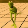 Rana saltando 🐸 13