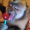 Memes do TikTok 😋🫦 21