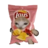 🧿Ramdon locos🐈😆 8