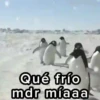 🥶 Frío! muy frío 1❄ 16