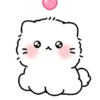 Perrito Blanco Pomerania 🐶🐾 9