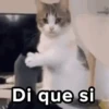 Di que si
