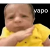 Vapo meme 13
