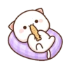 Kucing gemuy 8