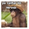 Monos | Monkey 🐵🍌 8
