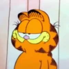 Garfield 13