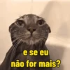 Reactions de gatin 15