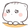 Cat Chan 9