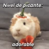Hámsters divertidos!🐹 12