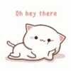 Mochi cat 2.0 12