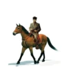 Atatürk 8