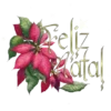 FELIZ NATAL | BOAS FESTAS 10