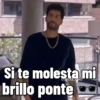 Charly Flow-LaReina del Flow🕶️ 13