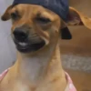 Memes para reaccionar 🤣 14