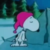 🐾Snoopy 🐾 9