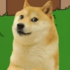 Memes Mov ● 19
