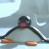 Pingu 8