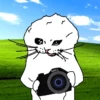 Perchi Stickers (animados) 12