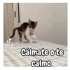 TikTok @natalia.1993.3 Cálmate o te calmo