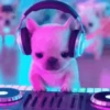 Pibble 🐶 7