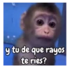 Monos | Monkey 🐵🍌 6