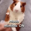 Hámsters divertidos!🐹 13
