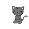 Gatito Lindo