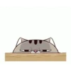 Meme kucing gerak lucu 5