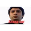 Polat alemdar 14