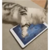 Gatos FoFoS 10