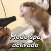 Modo spa activado