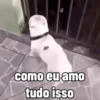 Cachorros debochados 14