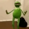 Rana saltando 🐸 10