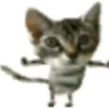 Animais em movimento 15