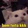 Reactions de gatin 7