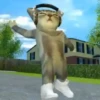 TikTok Gato Donato bailando 🎶😺 14